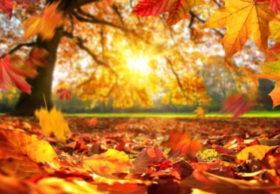 O outono ocupa o espaço, mas o calor ainda não vai embora