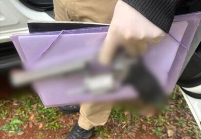 Adolescente de 13 anos mata a avó e atira no avô no Sudoeste