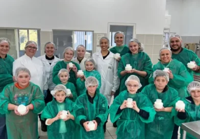 Crianças aprendem a fazer queijo em projeto leiteiro