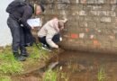 Mesmo com inverno rigoroso agentes encontram larvas da dengue