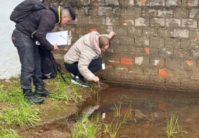 Mesmo com inverno rigoroso agentes encontram larvas da dengue