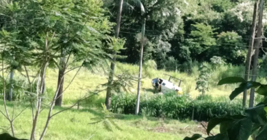 Helicóptero da Polícia Militar cai durante perseguição no Paraná
