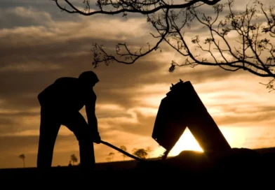 Redução da jornada 6×1 vai causar impacto de R$ 4,1 bi no agro do Paraná, estima Faep