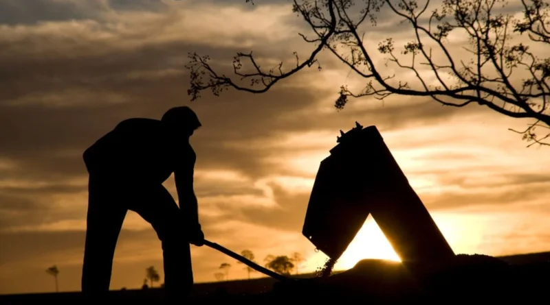 Redução da jornada 6×1 vai causar impacto de R$ 4,1 bi no agro do Paraná, estima Faep