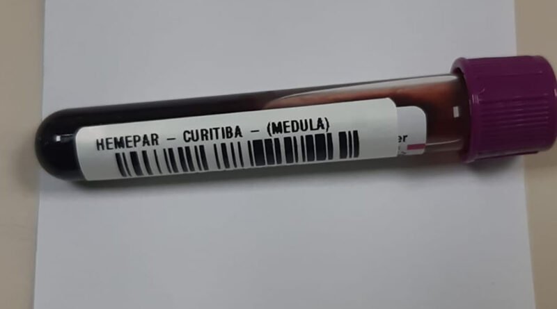 Fevereiro Laranja: mês da conscientização sobre leucemia reforça papel do diagnóstico