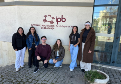 Intercâmbio e excelência: Acadêmicos do Campus Francisco Beltrão participam de programa de Dupla Diplomação