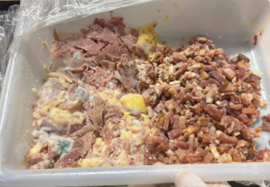 Vigilância Sanitária interdita dois estabelecimentos e apreende alimentos impróprios para consumo em fevereiro