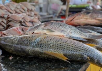 Vigilância Sanitária orienta sobre compra de pescado na Semana Santa