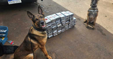 Cães farejadores da Polícia Civil de Pato Branco realizam apreensão multimilionária de cocaína