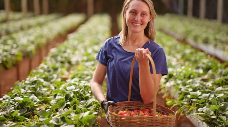 Cresol apresenta Relatório de Sustentabilidade com mais de 90 indicadores