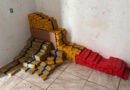 Maior apreensão do ano: PCPR apreende 4,1 toneladas de maconha