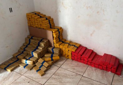 Maior apreensão do ano: PCPR apreende 4,1 toneladas de maconha