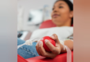 Multas de trânsito poderão ser convertidas em doação de sangue e medula óssea