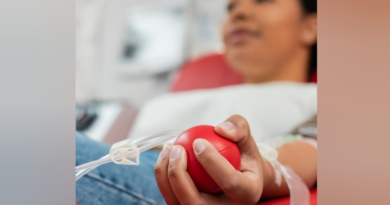 Multas de trânsito poderão ser convertidas em doação de sangue e medula óssea
