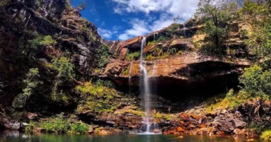 Criança de 8 anos é atacada por onça na Chapada dos Veadeiros