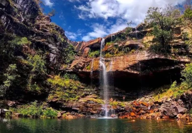 Criança de 8 anos é atacada por onça na Chapada dos Veadeiros
