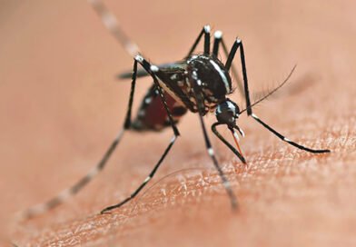 Paraná mantém alerta contra dengue mesmo com queda de casos