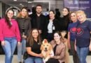 Lei garante cães terapeutas em ambientes de saúde de Francisco Beltrão