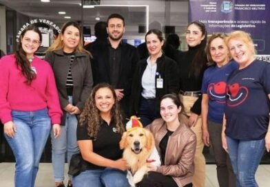Lei garante cães terapeutas em ambientes de saúde de Francisco Beltrão