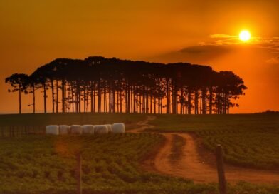 Outono e inverno: céu laranja pode indicar concentração de poluentes causada pela inversão térmica