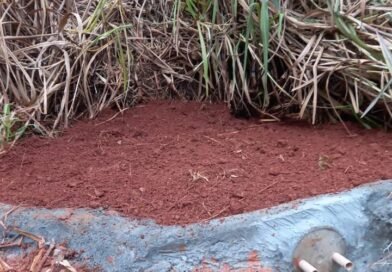 Proteção de nascente vai beneficiar projeto de horta comunitária em Francisco Beltrão