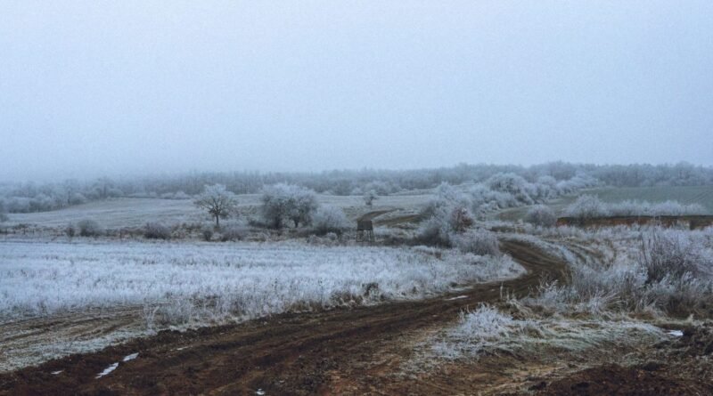 Semana terá chuva, frio e avanço de massa polar no Paraná