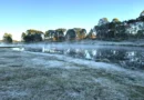 Paraná amanhece com geadas e temperaturas negativas de até -2,3ºC