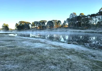 Paraná amanhece com geadas e temperaturas negativas de até -2,3ºC