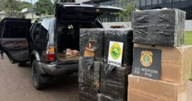 Apreensão de medicamentos para emagrecimento triplica no Paraná