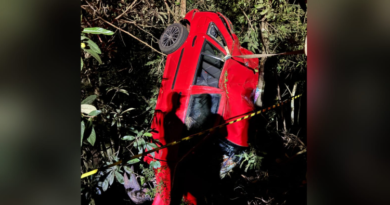Criança de 7 anos morre após carro sair da pista e bater em árvore na PR-493