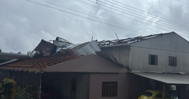 Ventos fortes provocam estragos e mobilizam equipes no interior de Francisco Beltrão