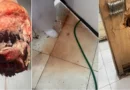 Vigilância Sanitária interdita açougue de supermercado em Francisco Beltrão