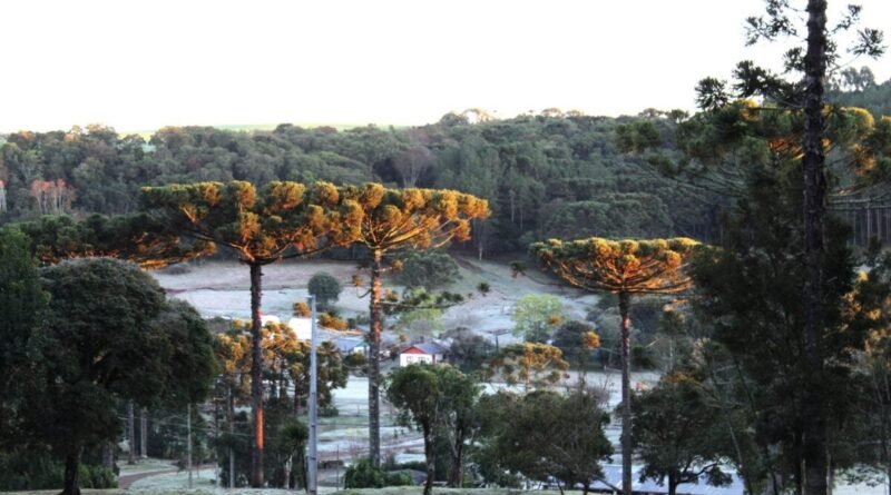 Frio chega a -0,1°C e temporais ameaçam o Paraná