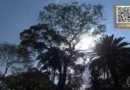 Primavera terá chuva acima da média no Paraná