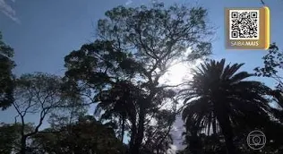 Primavera terá chuva acima da média no Paraná