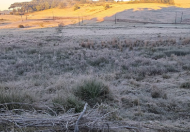 Palmas registra geada em plena primavera após temperatura chegar a 0,6°C