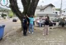 Prefeitura de Francisco Beltrão inicia avaliação técnica de árvores de grande porte
