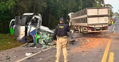 Polícia culpa motoristas de caminhão e micro-ônibus da Saúde por acidente com 23 mortos no Paraná