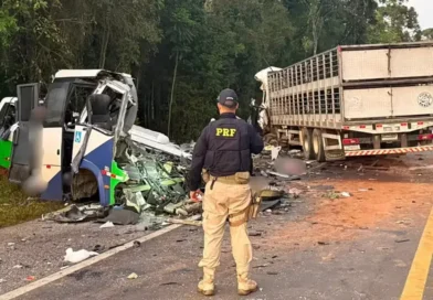 Polícia culpa motoristas de caminhão e micro-ônibus da Saúde por acidente com 23 mortos no Paraná